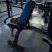 Скамья универсальная Gymmaster HS023