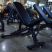 Скамья универсальная Gymmaster HS023