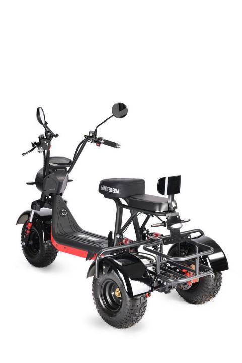 Электротрицикл WHITE SIBERIA TRIKE MINI 1500W