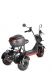 Электротрицикл WHITE SIBERIA TRIKE MINI 1500W