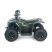 Квадроцикл детский электрический OMA Electric ELF-750 Dark green