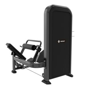 Ягодичный мостик Insight Fitness TY39
