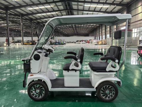 Гольфкар GreenCamel Сонора A3 ECO (3 seats 1000W R8) 