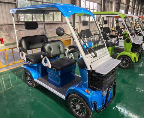 Гольфкар GreenCamel Сонора A3 ECO (3 seats 1000W R8) 