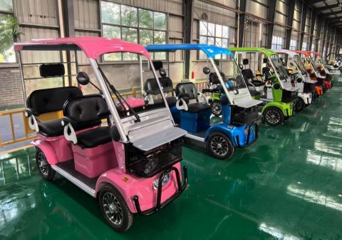 Гольфкар GreenCamel Сонора A3 ECO (3 seats 1000W R8) 