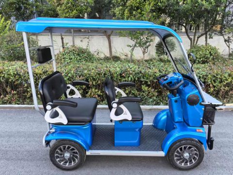 Гольфкар GreenCamel Сонора A3 ECO (3 seats 1000W R8) 