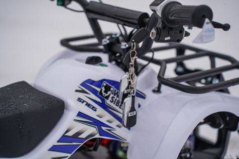 Детский электроквадроцикл SNEG MINI