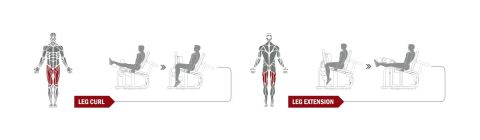 Силовой тренажер Spirit Fitness DWS141-U2 (Сгибание/разгибание ног сидя)