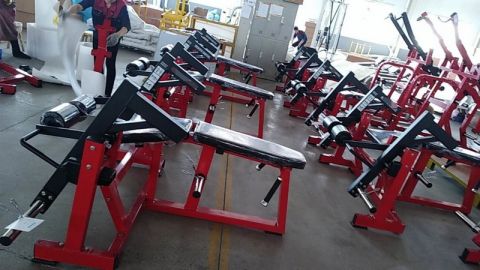 Сгибание ног лежа Insight Fitness TM18