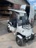 Гольфкар OMA Electric Q8-4 (2+2 60V 1500W)