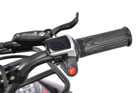 Электроквадроцикл WHITE SIBERIA SNEG 1500W
