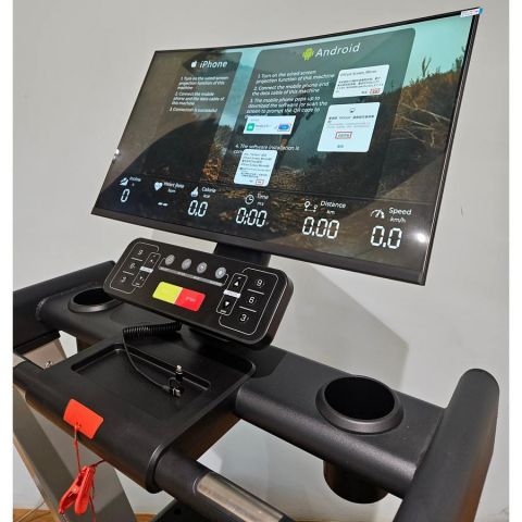 Беговая дорожка Gymmaster LZX-L30T
