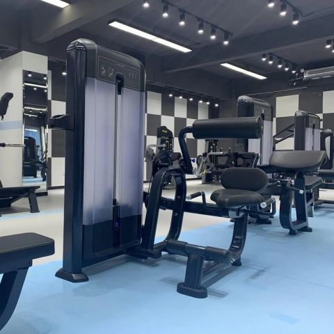 Разгибание спины Insight Fitness TF11