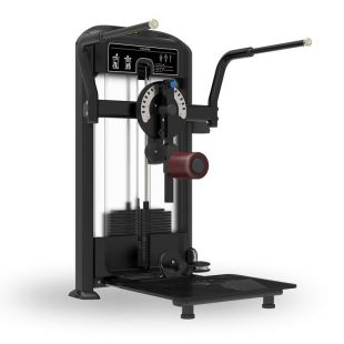 Мультихип Insight Fitness TF32