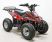 Квадроцикл GreenCamel Гоби K70 (36V 800W R7 Дифф) быстросъем