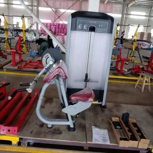 Бицепс/трицепс-машина Insight Fitness TF26