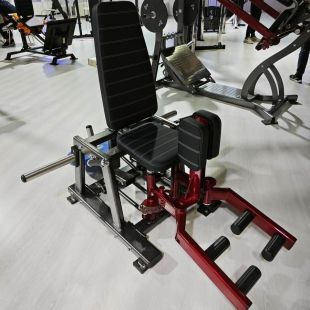 Сведение и разведение ног Gymmaster MP-8139