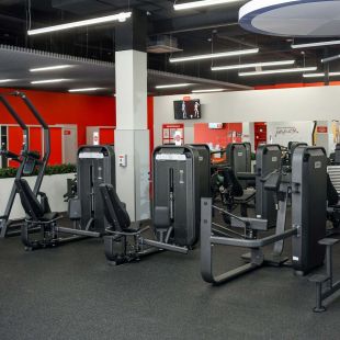 E-7005 Дельт-машина (Lateral Raise). Стек 110 кг.