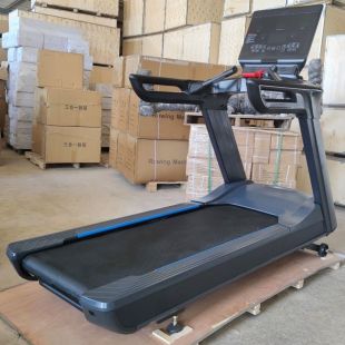 Беговая дорожка Gymmaster FT-T919