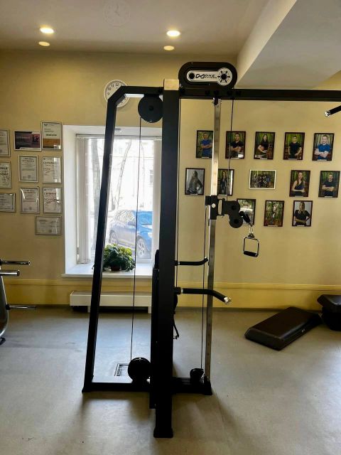 Кроссовер (Adjustable Crossover) DHZ A-3016 Стек 2x100 кг.