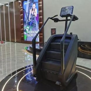 Лестница-степпер Insight Fitness EB8900 (LED)