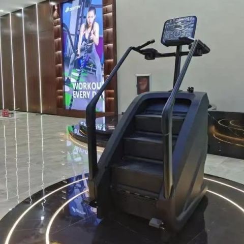 Лестница-степпер Insight Fitness EB8900 (LED)