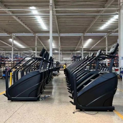 Лестница-степпер Insight Fitness EB8900 (LED)