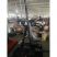 Жим от плеч Gymmaster EK571