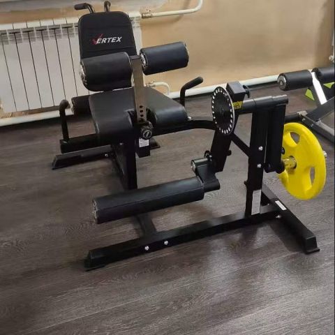 Сгибание/разгибание ног - спина - пресс Vertex FT-3036