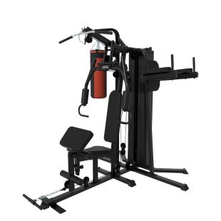 Мультистанция 3-х позиционная Gymmaster  FC6015
