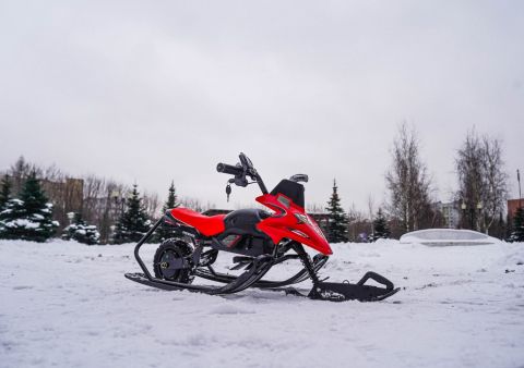 Электроснегокат WHITE SIBERIA BELЁК 800W