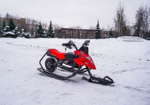 Электроснегокат WHITE SIBERIA BELЁК 800W