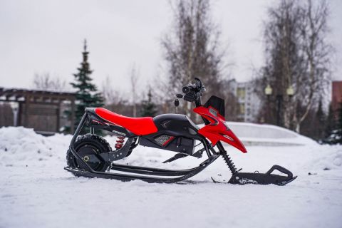 Электроснегокат WHITE SIBERIA BELЁК 800W