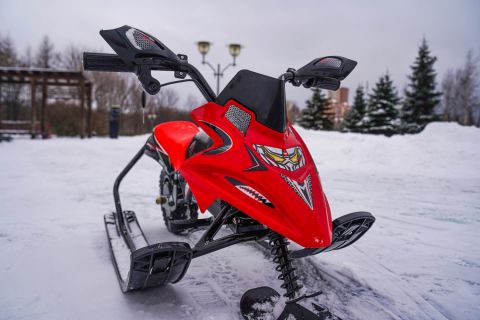 Электроснегокат WHITE SIBERIA BELЁК 800W