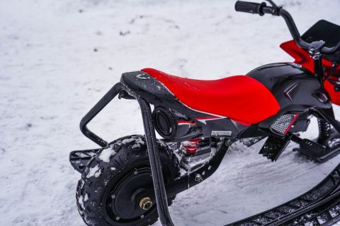 Электроснегокат WHITE SIBERIA BELЁК 800W