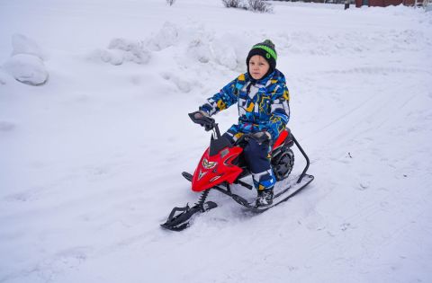 Электроснегокат WHITE SIBERIA BELЁК 800W