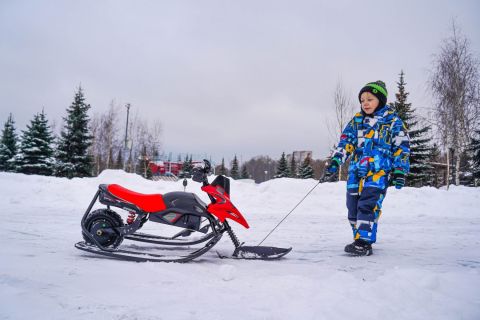 Электроснегокат WHITE SIBERIA BELЁК 800W