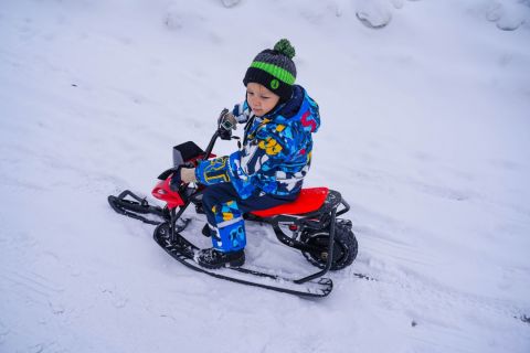 Электроснегокат WHITE SIBERIA BELЁК 800W