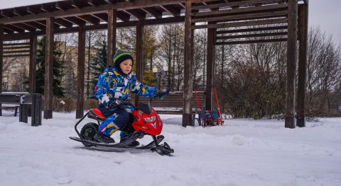 Электроснегокат WHITE SIBERIA BELЁК 800W