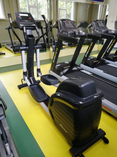 Эллиптический тренажер Vertex E-22R.1 Alpha Swing